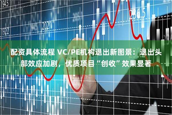 配资具体流程 VC/PE机构退出新图景：退出头部效应加剧，优质项目“创收”效果显著
