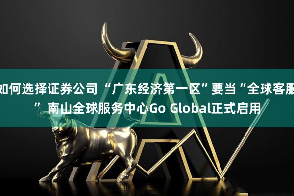 如何选择证券公司 “广东经济第一区”要当“全球客服” 南山全球服务中心Go Global正式启用