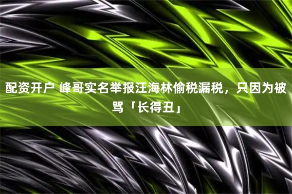 配资开户 峰哥实名举报汪海林偷税漏税，只因为被骂「长得丑」
